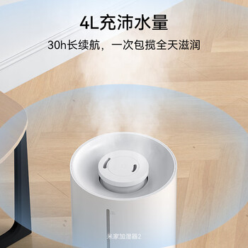小米加湿器2 卧室家用办公室桌面 迷你低噪空气加湿 银离子材料 上加水 4L大容量MJJSQ06DY