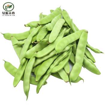 绿源禾心油豆角小豆角一点红生鲜套餐配送顺丰速运1000g
