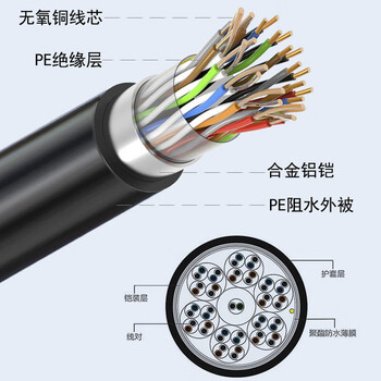 新网光通 室外30对大对数通信线缆 电话语音大对数电缆 1米 XW-HYA 30*2*0.4