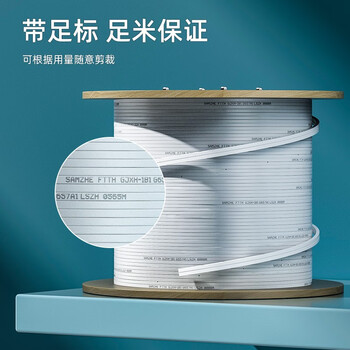 山泽(SAMZHE))电信级皮线光纤蝶形室内单模双芯光纤入户线 2芯2钢丝光缆 白色500米 FH22-500B