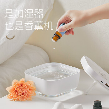 极地物种 冰川加湿器小型家用卧室桌面香薰加湿机 香氛套装Z1