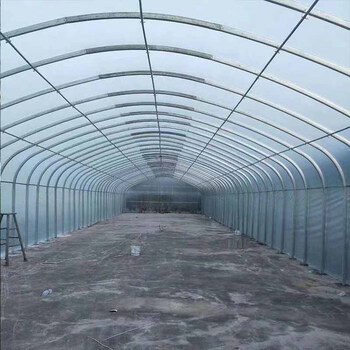 温室蔬菜暖棚大棚骨架钢管包塑椭圆管养殖钢架简易连体养鸡大棚8米宽