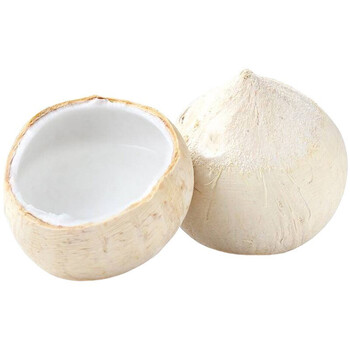 海南牛奶椰白椰皇 去皮椰青嫩椰 孕妇椰子水椰汁热带水果 海南椰皇2粒