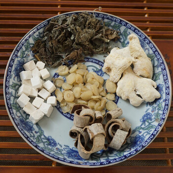 半夏汤 梅核气 喉咙异物感罗大伦 有痰咳不出痰湿体质7付 半夏汤需要