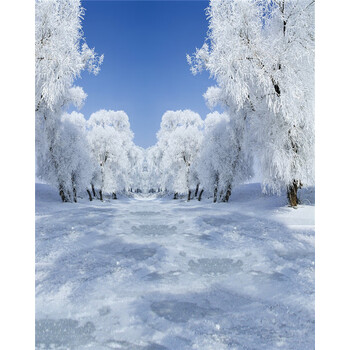 mogdey 影楼拍摄背景布儿童拍照摄影自拍主播直播雪山雪地雪景外景