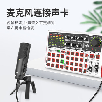 也仁 卡侬线 30米 公对母音频话筒线 麦克风调音台音响箱功放话筒卡农连接线 YR-YP34