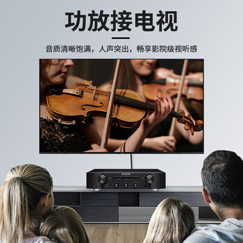 臻威（ZHENWEI）6.5转莲花音频连接线 6.35双莲花头2对2rca 调音台功放效果器音箱音频转接线1.5M