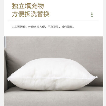 艾薇沙发抱枕睡觉靠垫床头靠枕汽车方形靠背垫含抱枕芯40*40好伙伴