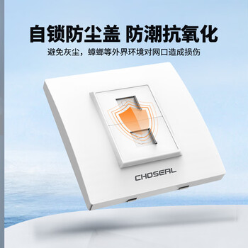 秋叶原(CHOSEAL)开关插座面板 二位六类屏蔽免打型双口网络信息面板 86型千兆暗装插座 白色 QD4952