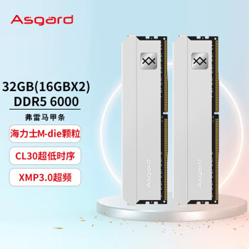 阿斯加特（Asgard）32GB(16Gx2)套 DDR5 6000频 台式机内存条 钛银甲--弗雷【C30】