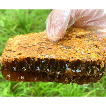 秦岭深山土蜂巢蜜嚼着吃天然成熟封盖百花蜜蜂窝有老有新500g