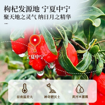 同仁堂枸杞子宁夏中宁红枸杞干特优级免洗头茬鲜枸杞子泡水养生茶