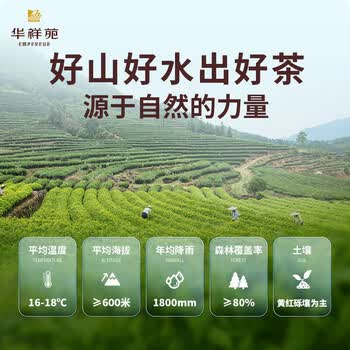 华祥苑茶叶 白毫银针福鼎白茶小罐装茶叶礼盒特级礼送礼 华祥庄园100g
