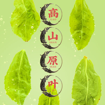 福茗源乌龙茶 安溪铁观音500g 特级新茶茶叶礼盒送长辈老丈人口粮茶