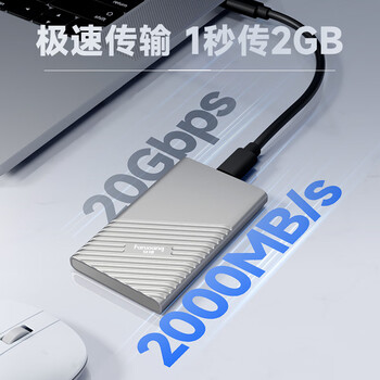 梵想（FANXIANG）500GB 移动固态硬盘（PSSD）移动ssd Type-c 苹果手机iphone16 Promax直连 电脑外接硬盘 PS2000银
