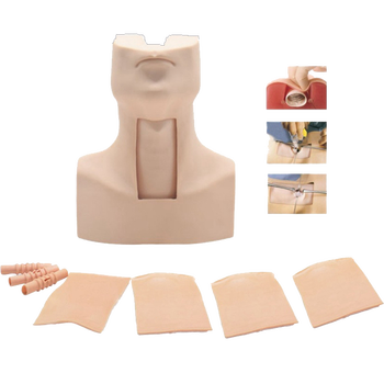 高级环甲膜穿刺及气管切开插管训练模型佳悦科教通j58