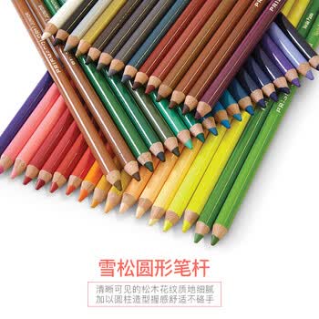 霹雳马（PRISMACOLOR）彩色铅笔彩铅笔48色油性大师级画笔套装绘画艺术写生手绘美国三福画画笔
