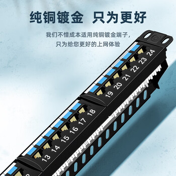 山泽六类配线架24口 CAT6类千兆网络配线架 工程级1U机架式机柜配线架 镀金版BL6-24