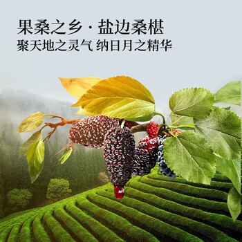 同仁堂桑葚干免洗无沙黑桑椹果干即食桑葚颗粒泡水特级桑椹子
