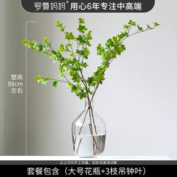 罗曼妈妈北欧吊钟植物玻璃花瓶马醉木透明水培插花装饰餐桌摆件大号 3枝仿真吊钟1cm 图片价格品牌报价 京东