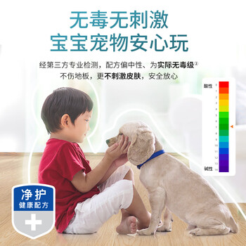 斧头牌（AXE）地板清洁剂2L 尤加利清香  瓷砖实木地板通用