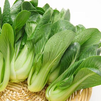 上海青 小油菜2斤 火锅涮菜 新鲜蔬菜脆嫩油亮