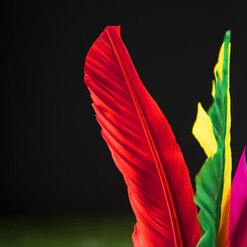 杜威克 毽子大号鹅毛羽毛彩色比赛毽球牛筋底花键儿童毽子5个装 杜威克 毽子大号鹅毛羽毛彩色比赛毽球牛筋底花键儿童毽子5个装