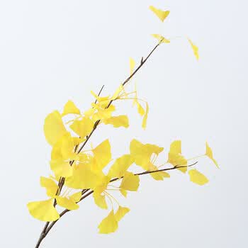 3d打印银杏叶绿植 仿真植物酒店家居婚庆装饰 摄影摆件插花 黄色