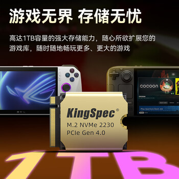 金胜维（KingSpec）512GB SSD固态硬盘NVMe 2230 M.2接口 PCIe4.0 读速5000MB/s 适配SteamDeck掌机