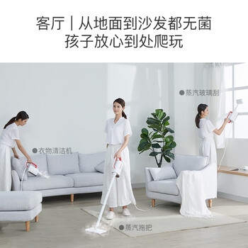 德尔玛（Deerma）【热卖】ZQ610 多功能蒸汽清洁机  蒸汽拖把 家用高温蒸汽机 厨房油污清洗机 布艺沙发杀菌消毒