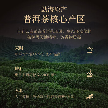 华祥苑茶叶 普洱熟茶 勐海熟普168g  贵宾茶3年陈礼盒送礼礼品