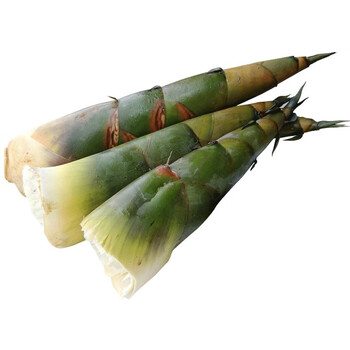 集鲜锋新鲜竹笋麻竹笋新鲜蔬菜5斤