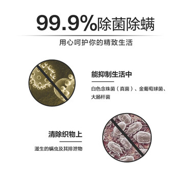 绽家香氛洗衣凝珠 忍冬12g*10颗 3腔 抑菌浓缩洗衣液持久留香试用装 绽家香氛洗衣凝珠 忍冬12g*10颗 3腔 抑菌浓缩洗衣液持久留香试用装