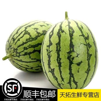 媚调庞各庄小西瓜北京大兴正宗醇奶西瓜吊瓜袖珍冰糖薄皮牛奶纯甜小