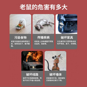 鼠道难驱鼠剂发动机舱汽车专用老鼠药驱鼠神器老鼠克星老鼠闻就跑500ml