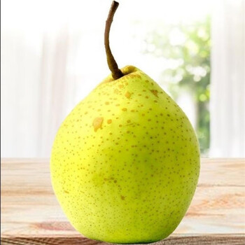河北鸭梨新鲜水果鸭梨新鲜梨现摘现发酸甜酥脆孕妇水果整箱发货 9斤