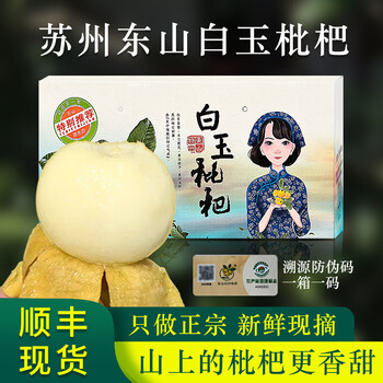 净樱苏州东山白玉枇杷新鲜大果5斤礼盒装白沙琵琶水果超甜顺丰 5斤 25