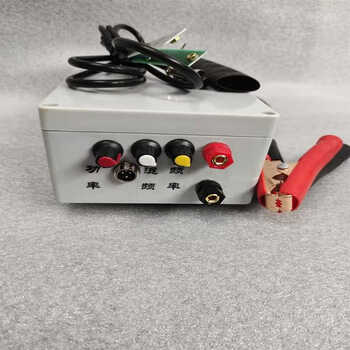 定制12v 800w电子白金机,白金机头,变压器 带落水保护