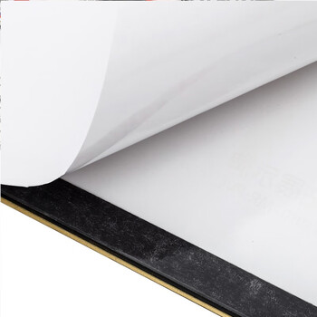 天章 (TANGO)A4磁性展示贴免打孔银色 营业执照保护套证书A4贴磁吸牌胶条证照副本框公告栏墙贴1个装 天章 (TANGO)A4磁性展示贴免打孔银色 营业执照保护套证书A4贴磁吸牌胶条证照副本框公告栏墙贴1个装