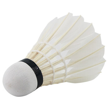 红双喜DHS鹅毛耐打羽毛球训练级EG22(12只装)