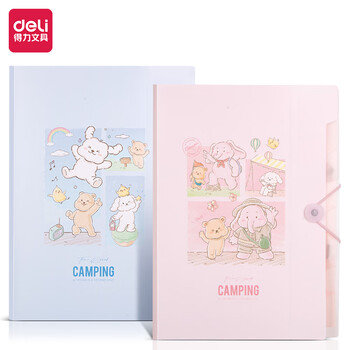 得力（deli）A4/8格便携风琴包 文件资料手提包资料册收纳夹 小学初高中试卷票据资料收纳册 文件保护混色PM303