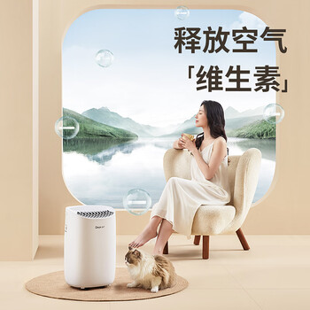 德业（Deye）除湿机/抽湿机 除湿量12升/天 20㎡家用轻音地下室干衣机除湿器 母婴养宠 银离子抗菌DYD-B12A3