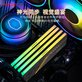 阿斯加特（Asgard）16GB(8GBx2) DDR4 3600 台式机内存条 金伦加&TUF联名款 RGB灯条 海力士CJR CL18 黑橙甲