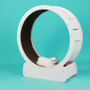 猫咪跑步机猫跑轮猫咪猫咪健身实木生态静音跑轮丝滑 白色 大号