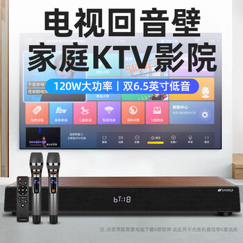 SANSUI山水 木质K歌版一体机回音壁 2.1声道 家庭KTV组合音响电视音响 家庭影院套装带麦克风 DV-91D