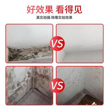 膜太（MOOTAA）进口墙面除霉剂去霉菌霉斑霉点发霉清除家用墙壁去霉神器550ml*1