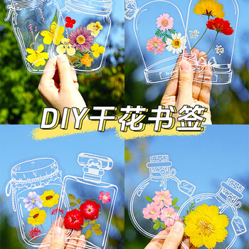 佳茉【热门商品】透明干花书签手工diy材料标本pvc塑封膜创意植物树叶压花瓣瓶26朵收集夏天