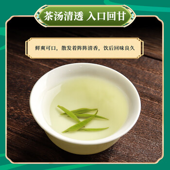 第一江南绿茶毛尖特级250g新茶明前茶叶礼盒罐装春茶端午节送礼品