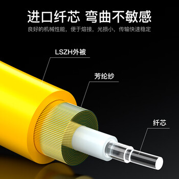 胜为电信级光纤跳线 LC-LC单模双芯3米 9/125低烟无卤光纤尾纤 SW-CS2LC-03D