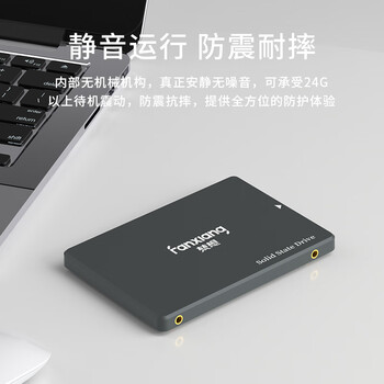 梵想（FANXIANG）2TB SSD固态硬盘 SATA3.0接口 高速低功耗 电脑升级核心稳定组件 FP325Q